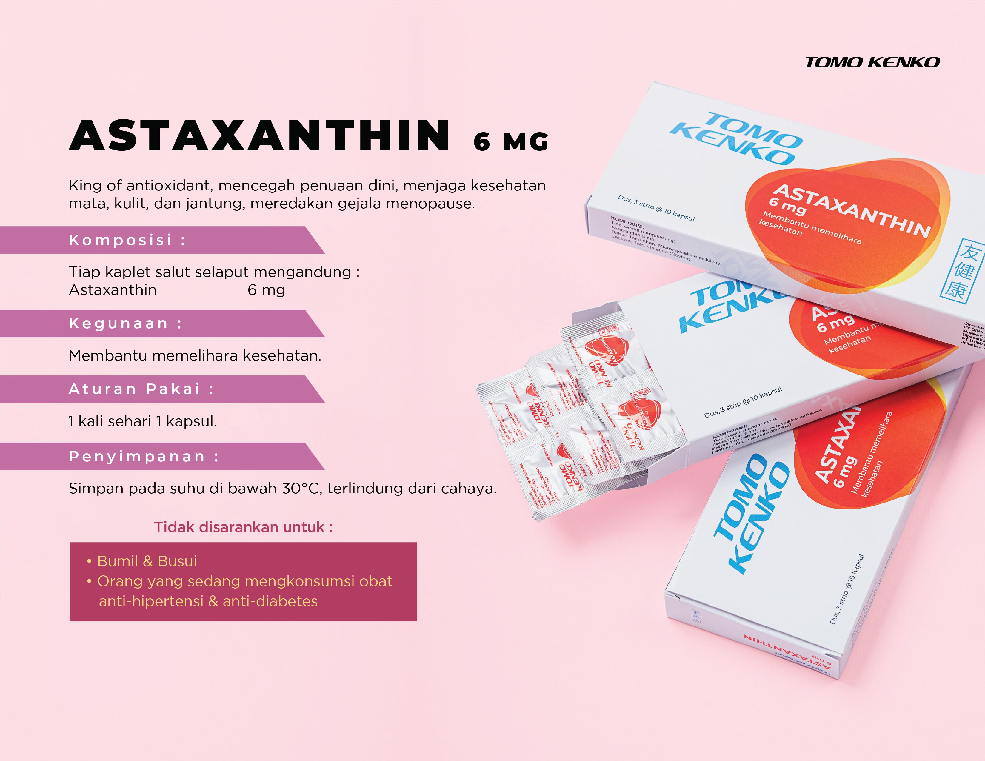 Tomo Kenko Company Profile Page 30